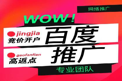 SEM代运营公司助力企业高效推广案例解析